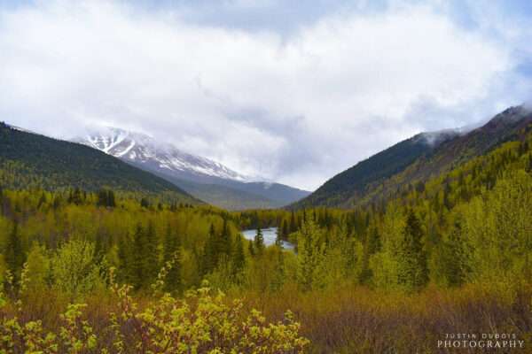 Alaska: Warm Wilderness