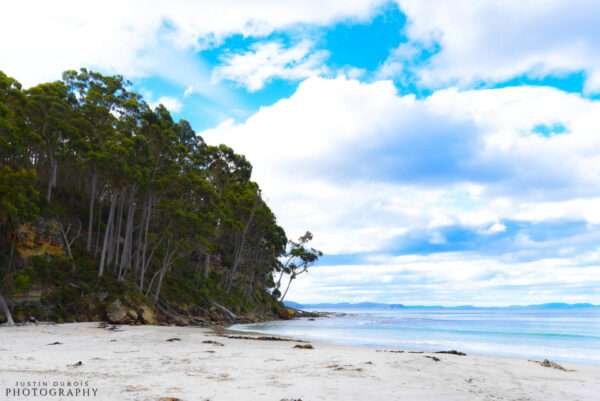 Australia: Beachside