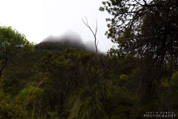 Australia: Cradle Mountain