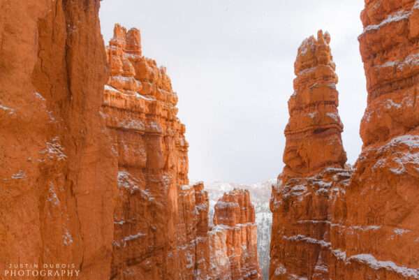 Bryce Canyon: Hoodoos