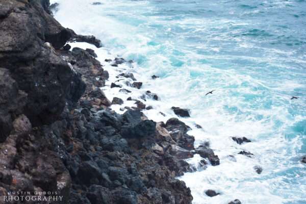 Galapagos Islands: Cliffside