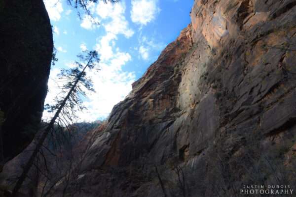 Zion: Cliffside