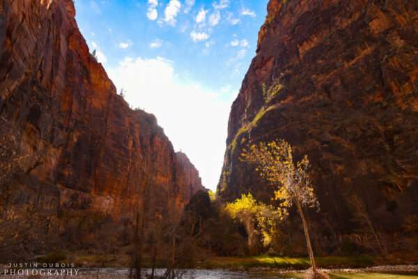 Zion: Red Canyon